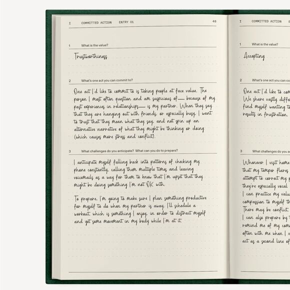 NWT Therapy Notebooks The Field Guide for Depression 5-in-1 Tools Notebook - Picture 6 of 12